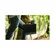 SmallHD 1303 HDR 13" LED Production Moni...: Picture 7 thumbnail