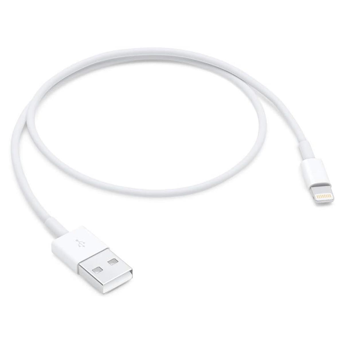 Image of Apple 3.2' Lightning to USB Cable