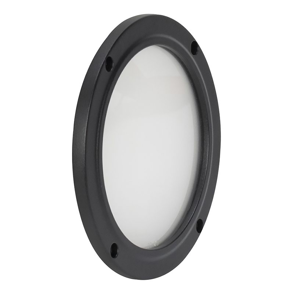 

American DJ 30x60 Degree Frost Filter for Encore LP5IP Fixture