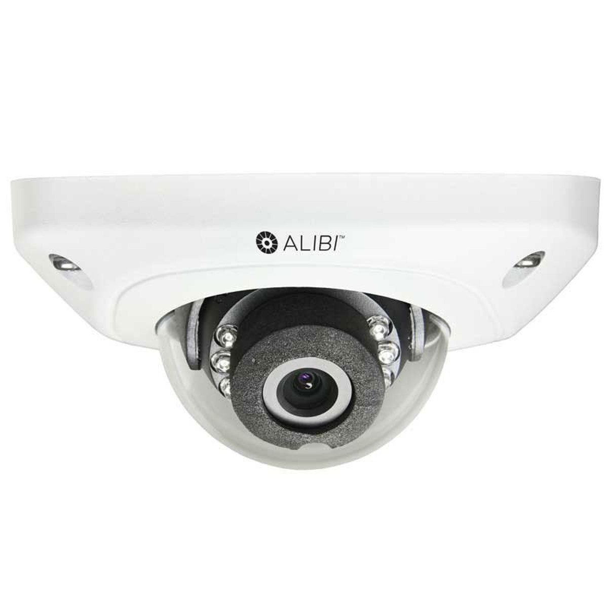 

Alibi 2.0 MP HD-TVI 65' IR Vandalproof Outdoor Wedge Security Camera