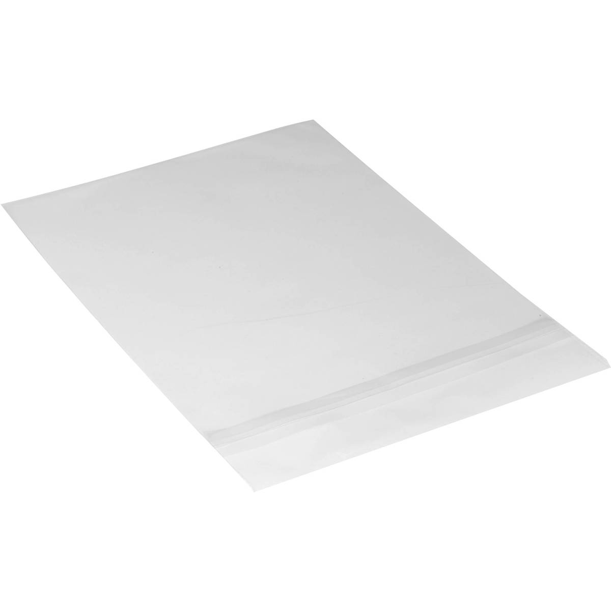 

Archival Methods 24.43x36.25" Crystal Clear Bag, 100/Pack