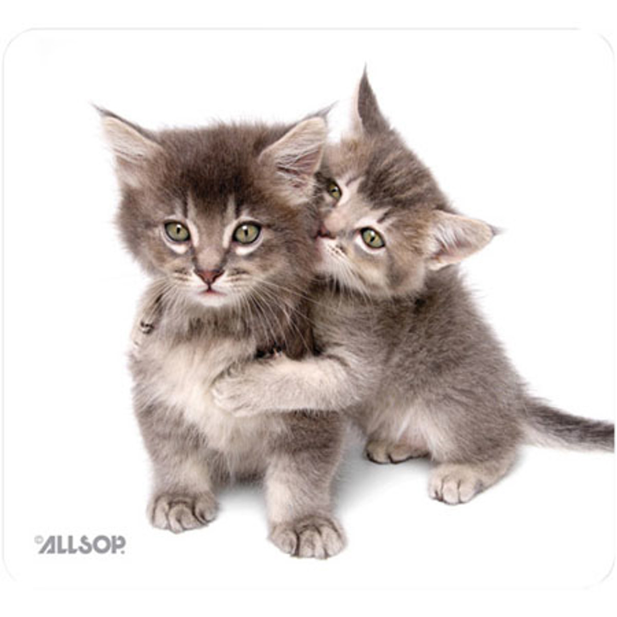 

Allsop Naturesmart Mouse Pad, Kittens