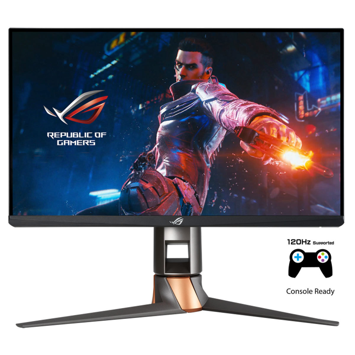 

ASUS ROG Swift PG259QN 24.5" 16:9 Full HD 360Hz HDR IPS LED Gaming Monitor