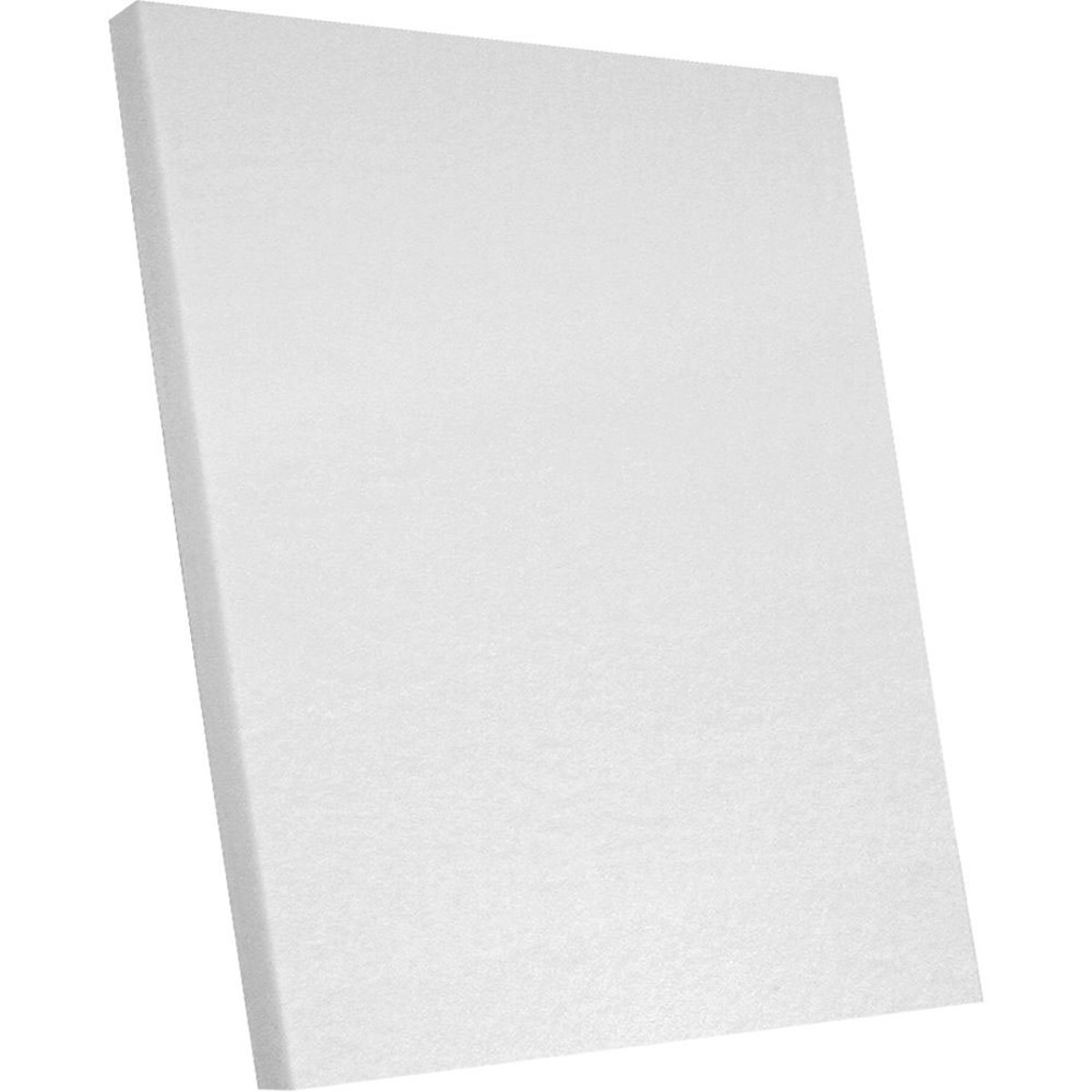 

Auralex 1x24x24" EcoTech Acoustical Panels, White, 8 Pack