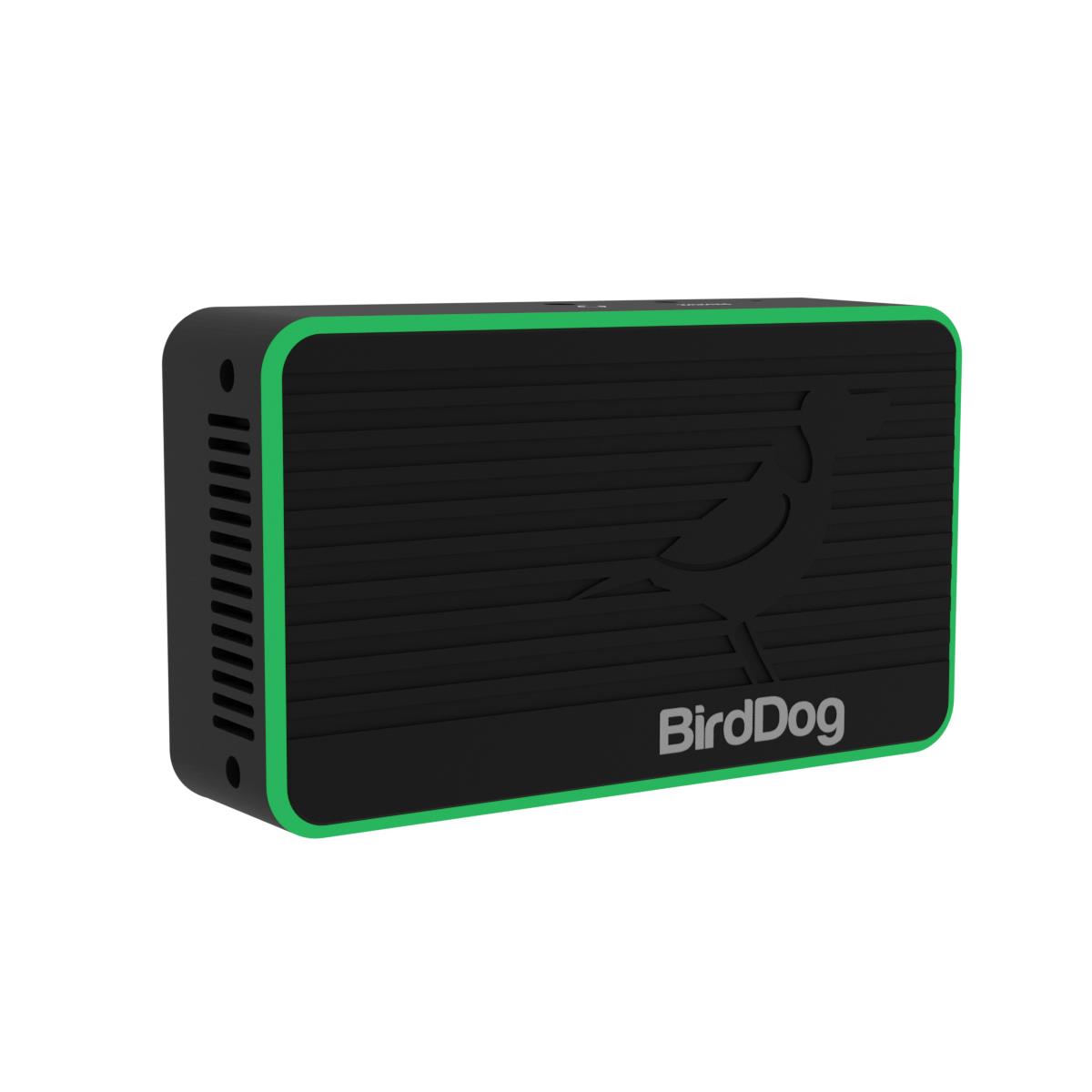 Image of BirdDog Flex 4K Out Full NDI Decoder