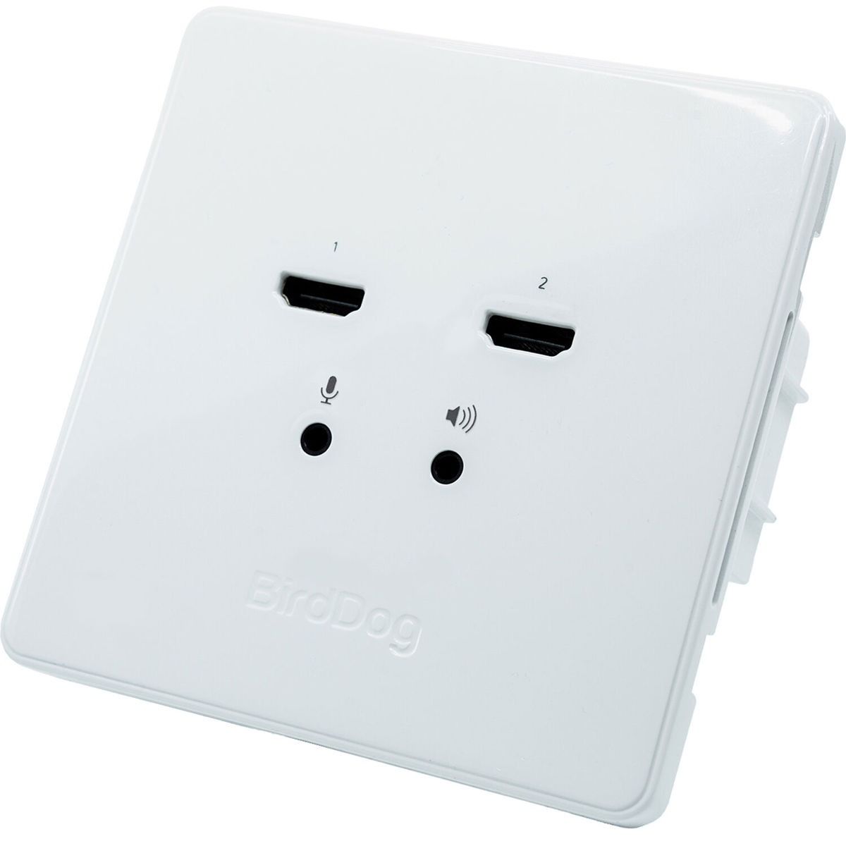 

BirdDog Wallplate Dual Output