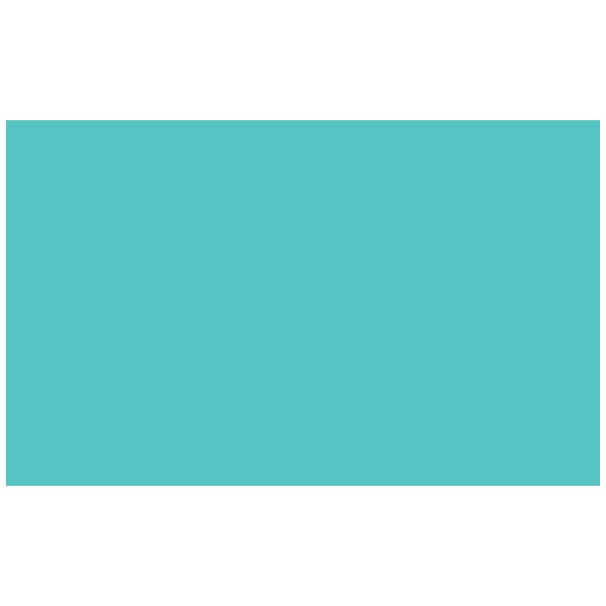 

Adorama Seamless Background Paper, 53" wide x 12 yards, Aqua, #165