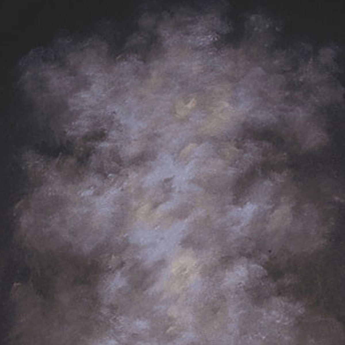 

Studio Dynamics 8x12' Old Master Canvas Background with Studio Mount, Emperor