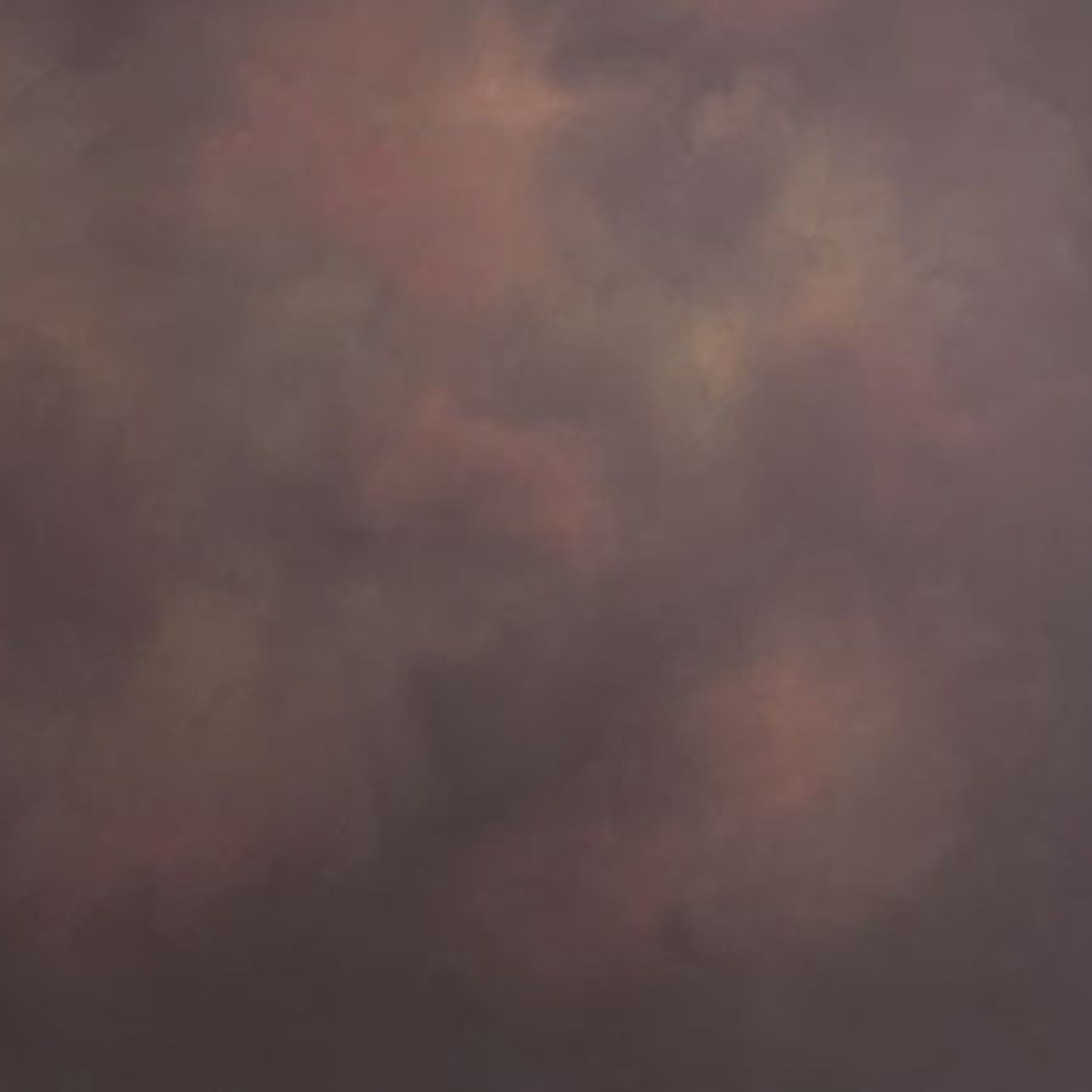 

Studio Dynamics Background, Canvas 7 x 8' - Classic Rembrandt