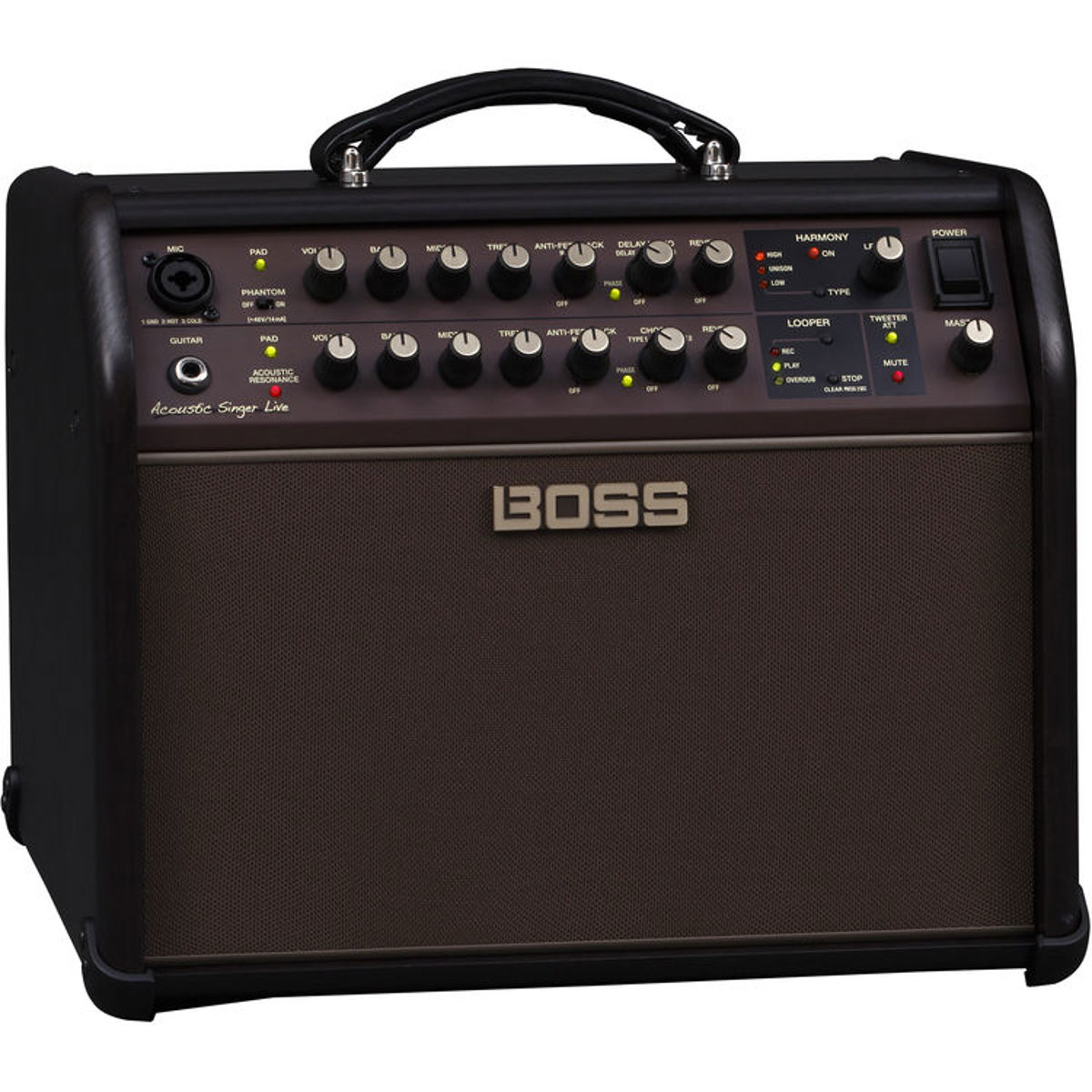 

Boss BOSS ACS Live 60W Combo Amplifier for Acoustic Guitar and Vocals