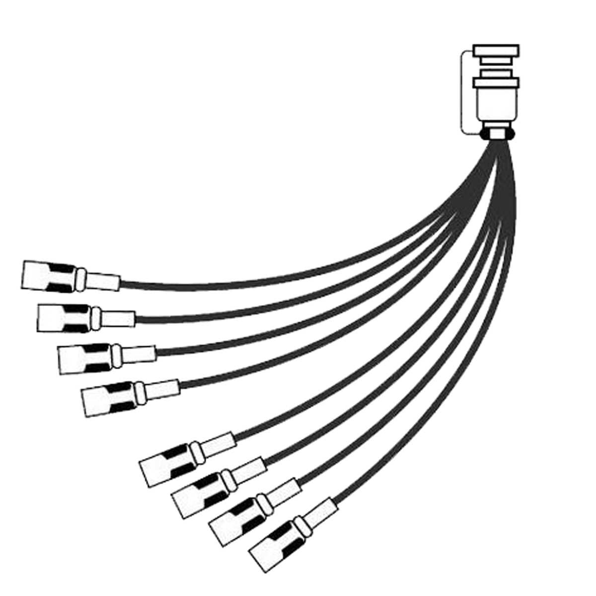 

Canare 8 Channel 8S2N1 Fantail, 1.5m
