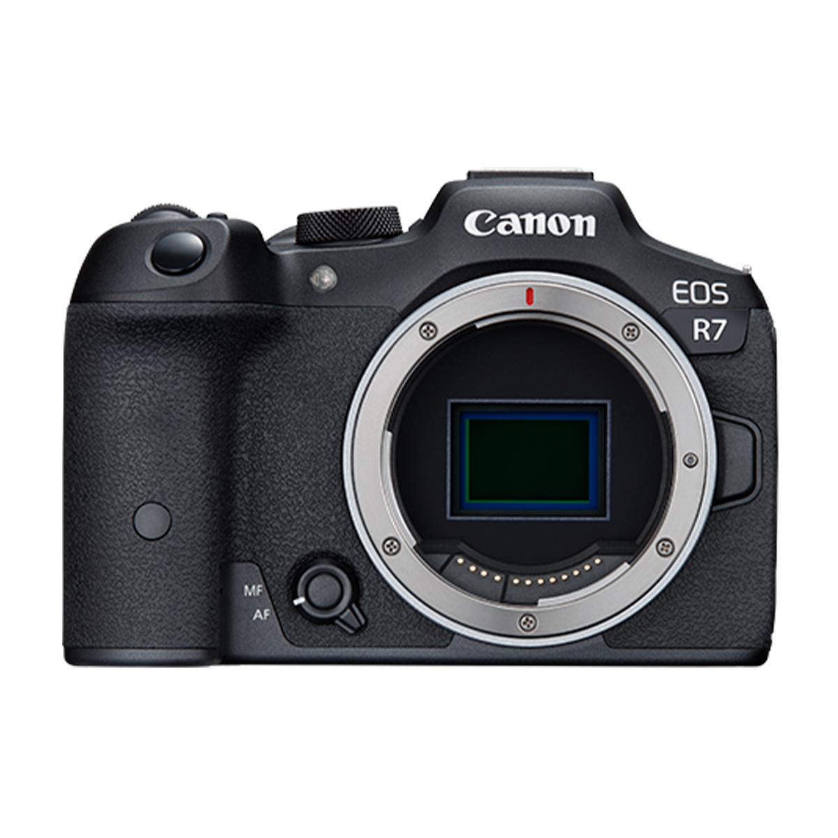 

Canon EOS R7 Mirrorless Camera