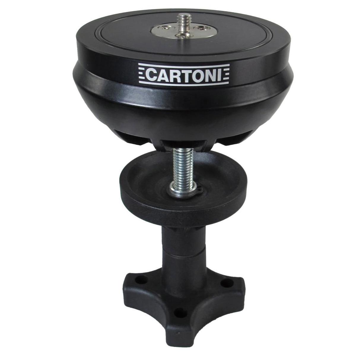 

Cartoni Half Bowl for 100 mm Bowl Tripods 1/4" and 3/8" Mounting