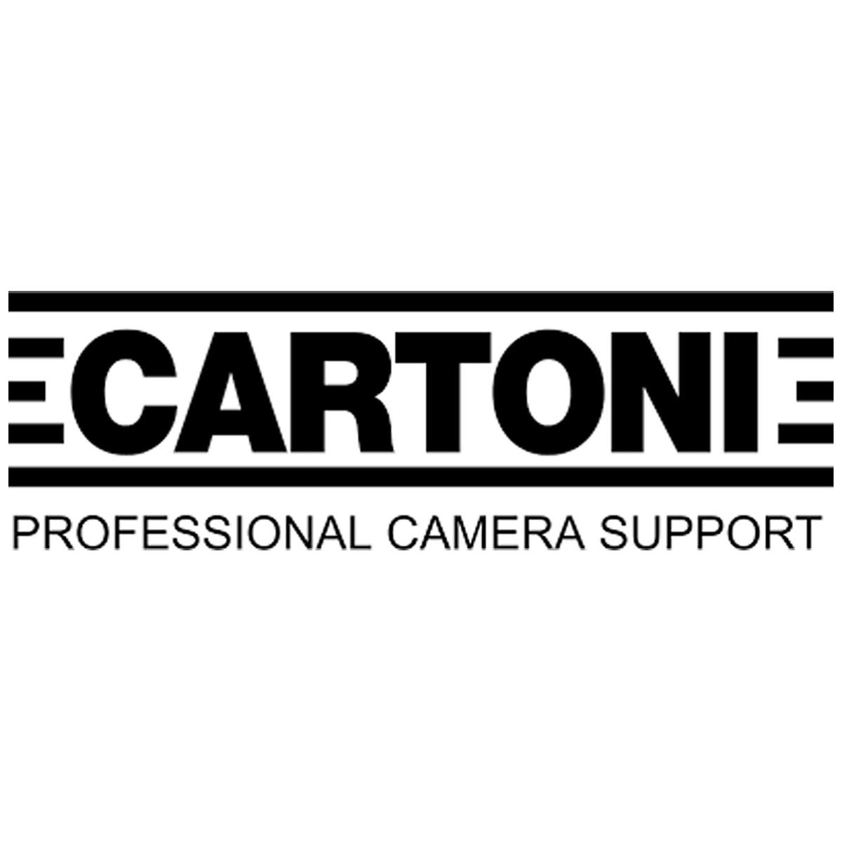 

Cartoni D 736/P Heavy-Duty OB Dolly for T625 and T625/M Tripods
