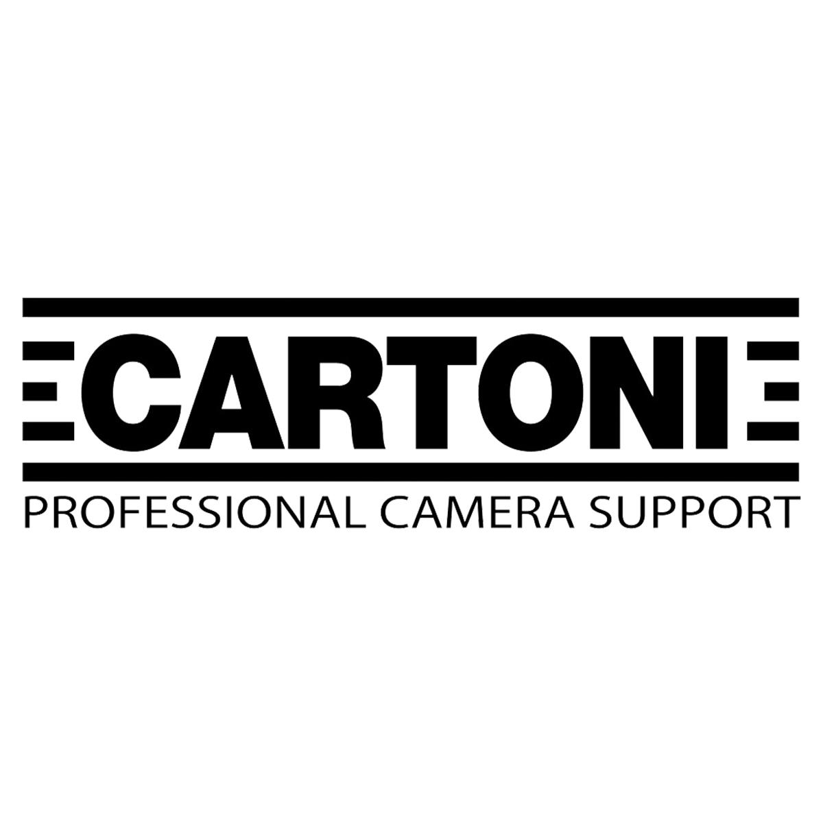 

Cartoni Master 40 Flat Base Fluid Head, 88 lb Maximum Payload