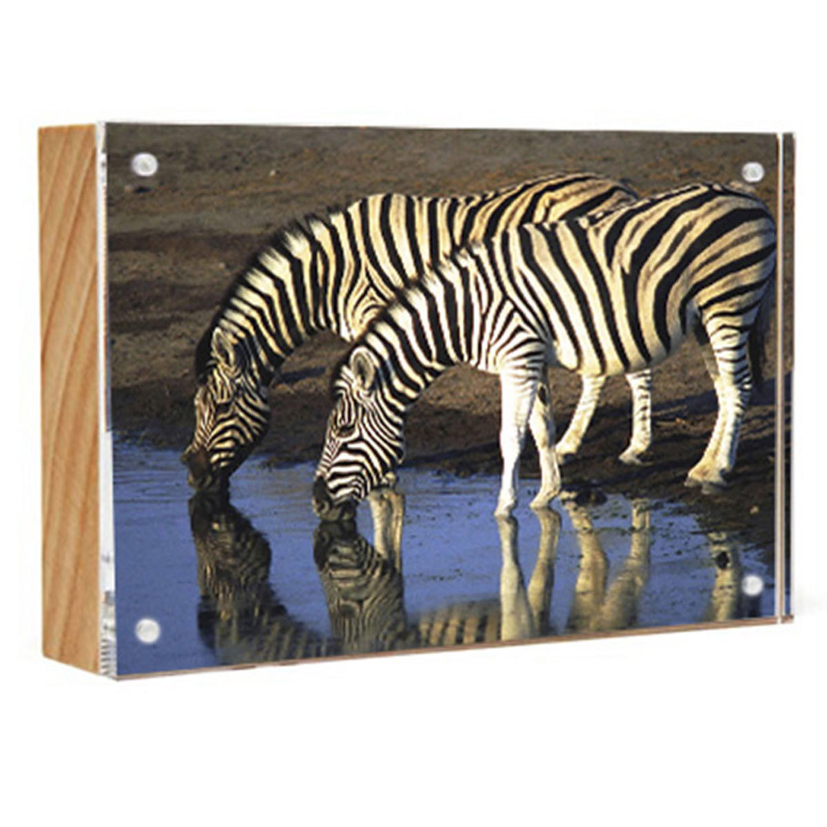 

Canetti Wood Back Magnet Frame, 3.5x5", Natural