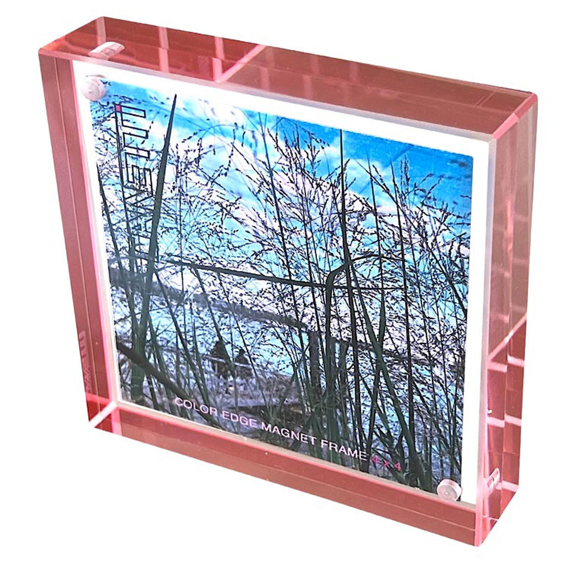 

Canetti Color Edge Magnet Frame, 4x4", Rose