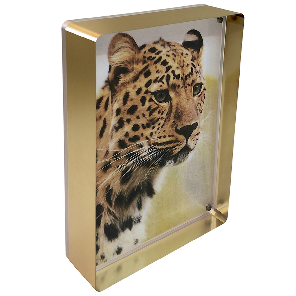 

Canetti Prestige Magnet Frame, 5x5", Gold