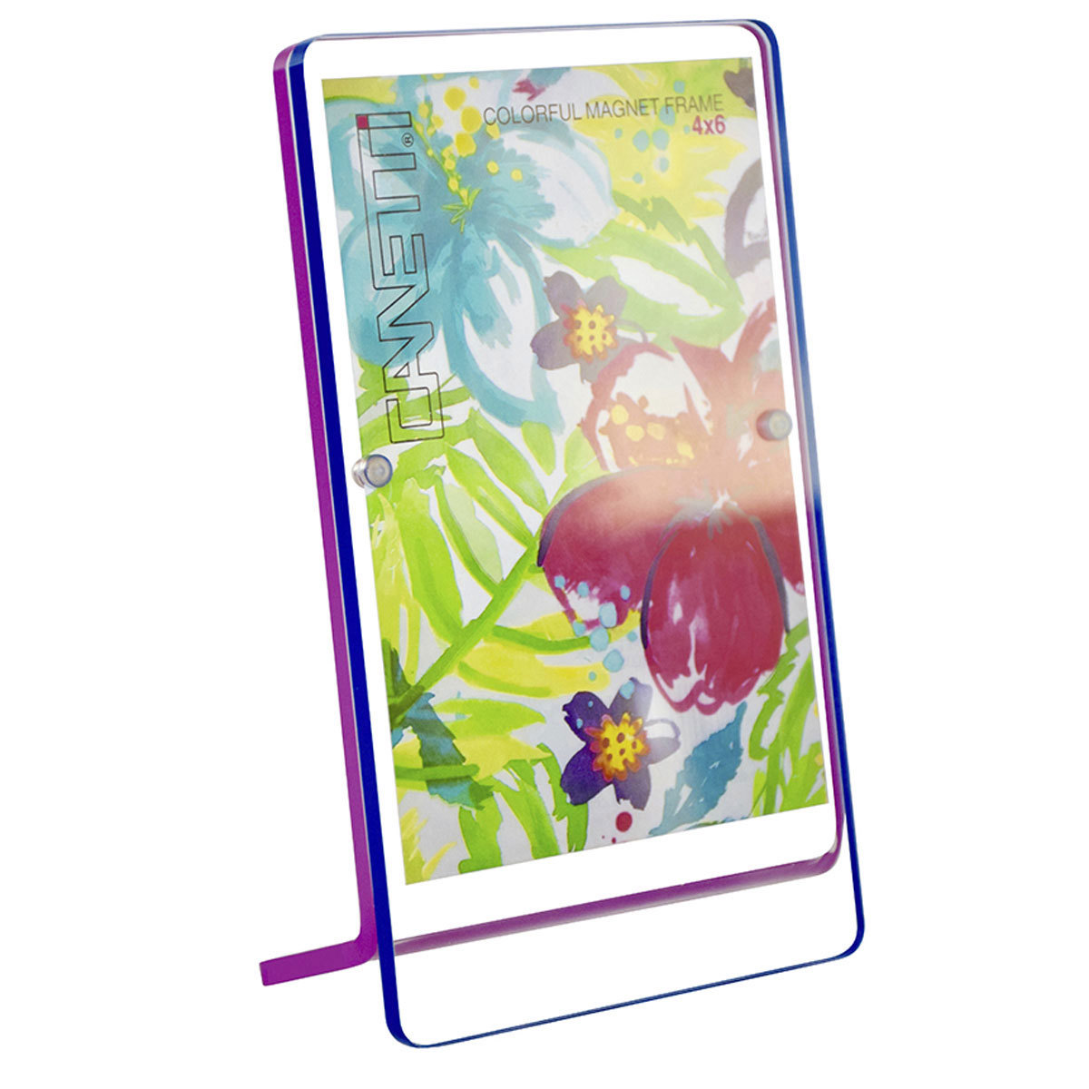 

Canetti Colorful Magnet Frame, 5x7", Blue/Purple