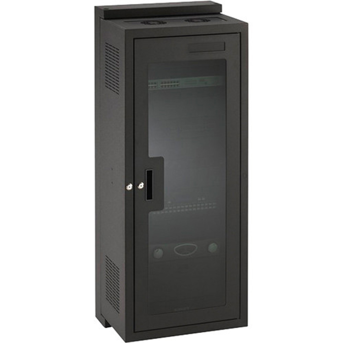 

Chief W1 SECTIONAL WALL RACK DOOR, 20U, PERF
