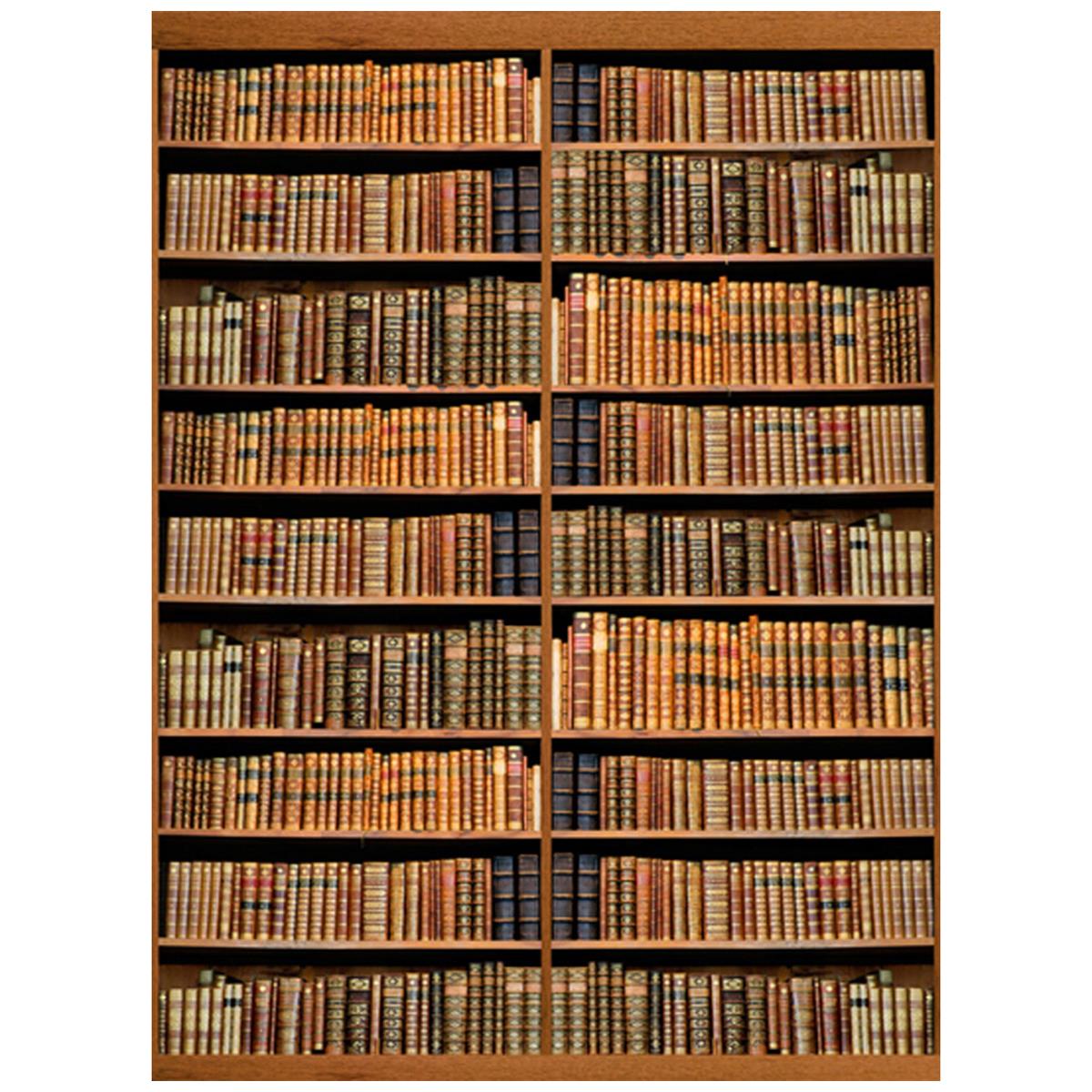 Image of Click Props Bookshelf Backdrop