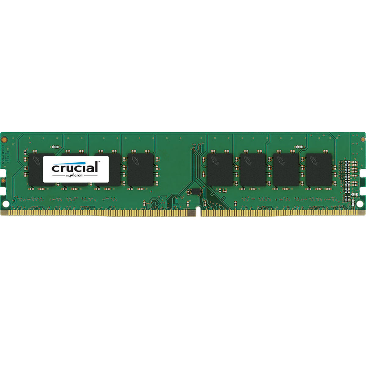 

Crucial 8GB 288-Pin UDIMM DDR4 (PC4-19200) Server Memory Module