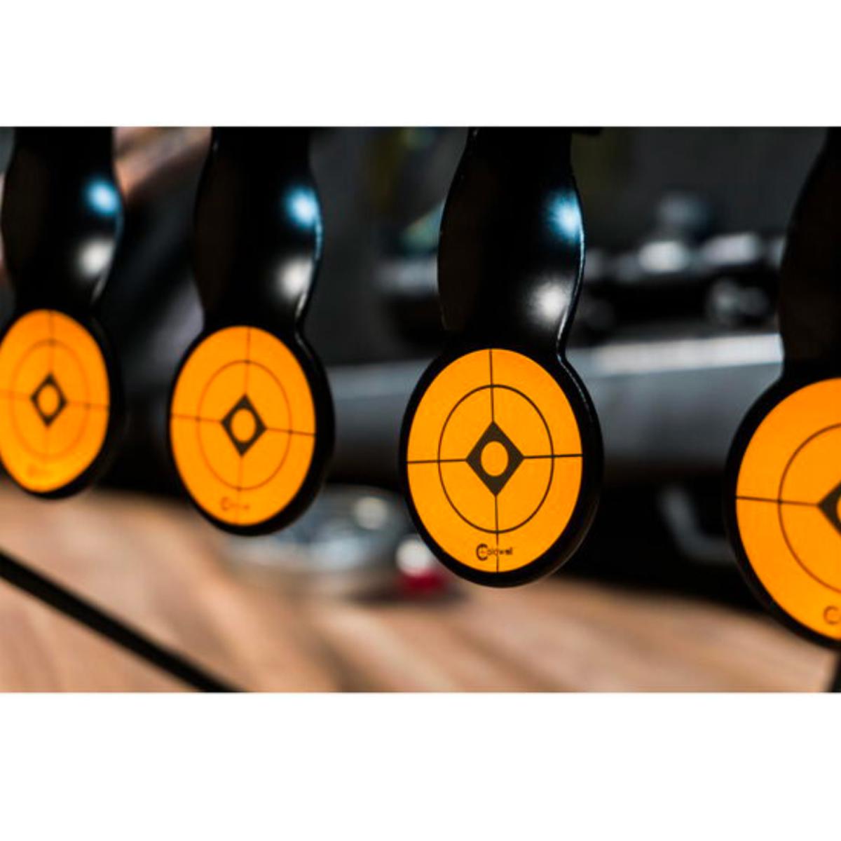

Caldwell .22 Rimfire Resetting Target