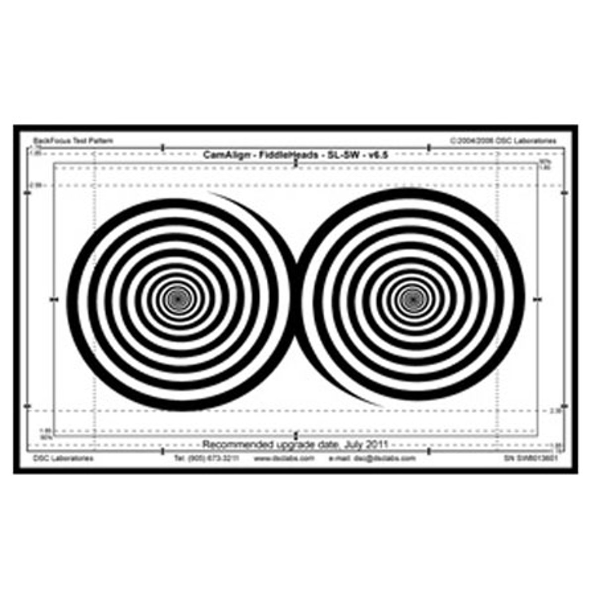 

DSC Labs Fiddlehead Junior Focus Pattern Chart, 17x10"