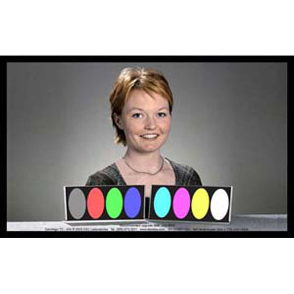 

DSC Labs Tricia with Color Bars Junior CamAlign Chip Chart, 17x10"