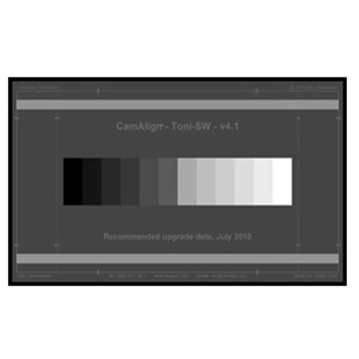 Image of DSC Labs Toni Maxi Grayscale Chart