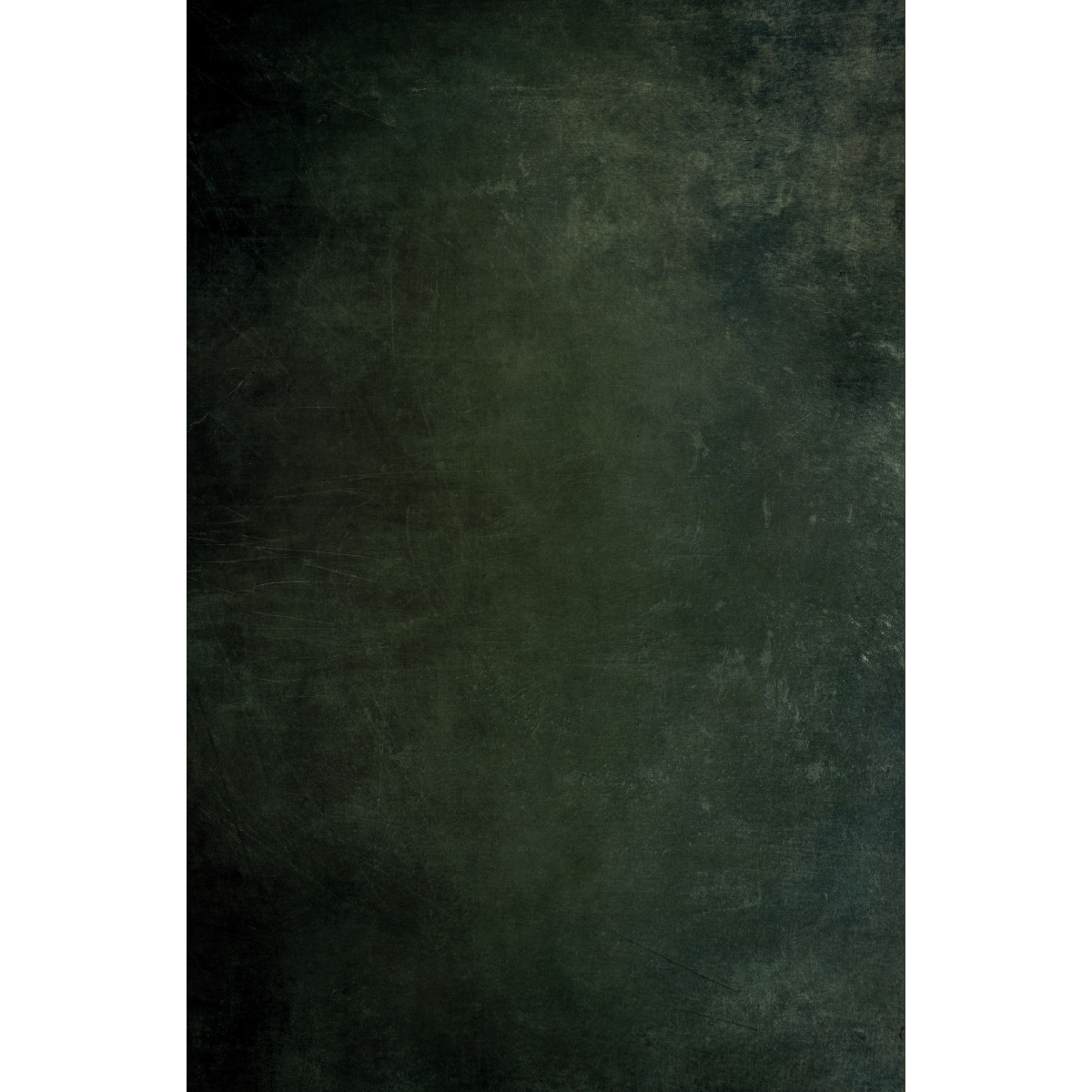 

Easiframe 8.2x12.5' Cyclorama Fabric Curved Frame Backdrop, Dark Woods