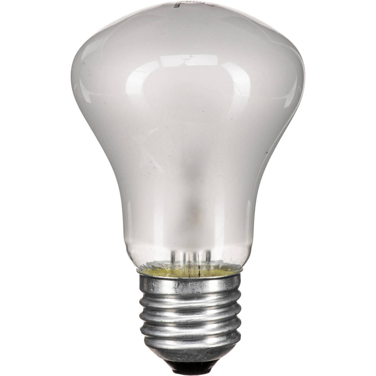 

Elinchrom 23006 100 Watt,90 Volt Halogen Modeling Lamp