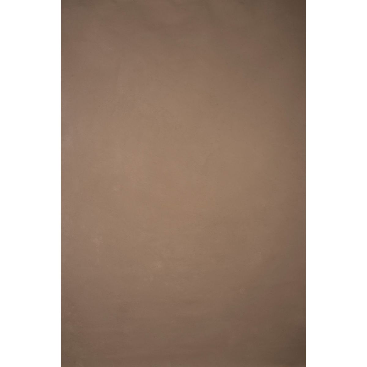 

Gravity Backdrops Hand Painted Classic Low Texture Backdrop, 8.9x9.8', Beige