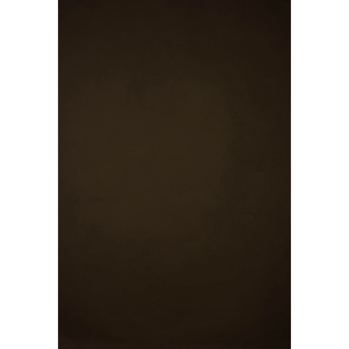 

Gravity Backdrops Hand Painted Classic Strong Texture Backdrop, 6.2x8.9', Brown