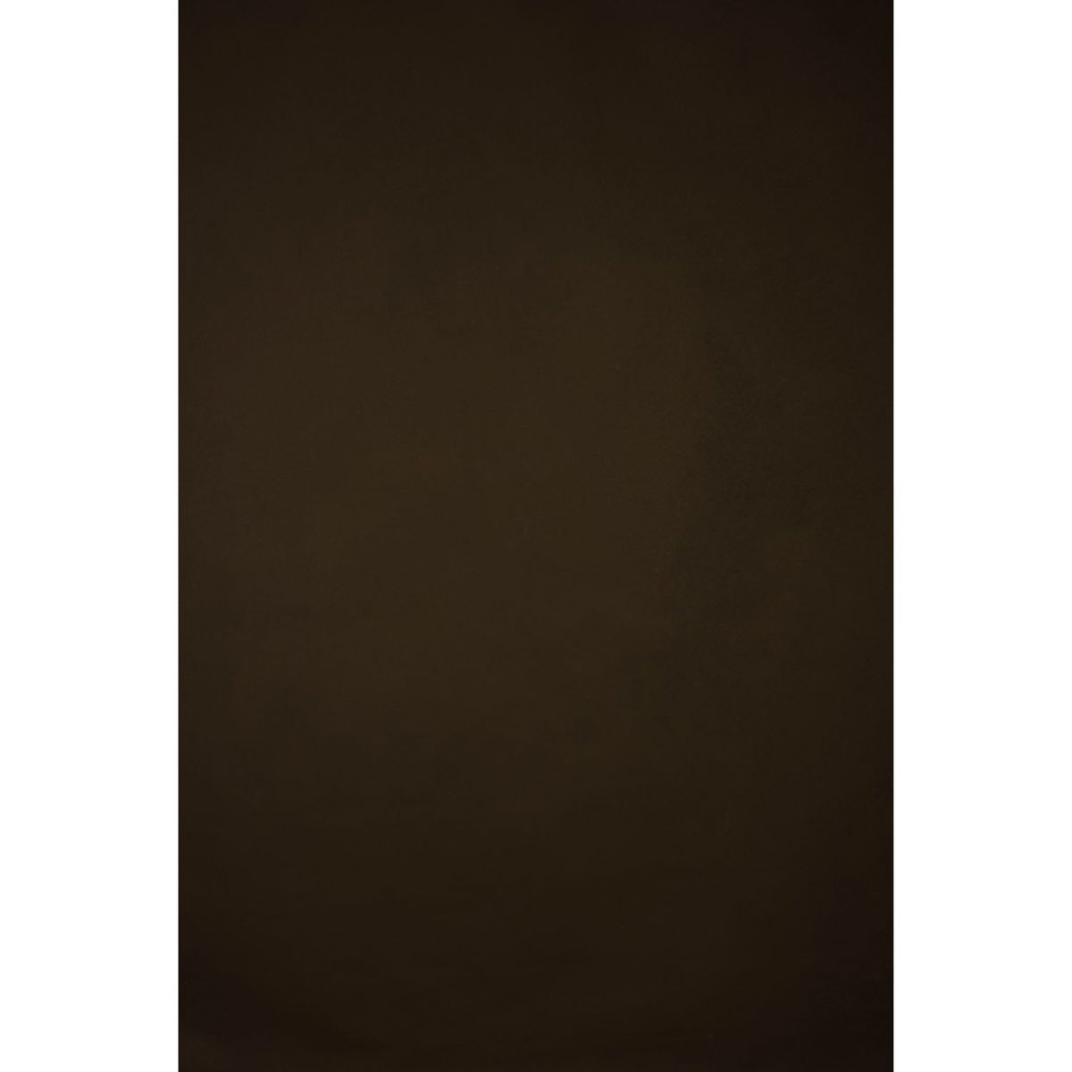 

Gravity Backdrops Hand Painted Classic Low Texture Backdrop, 8.9x16.4', Brown