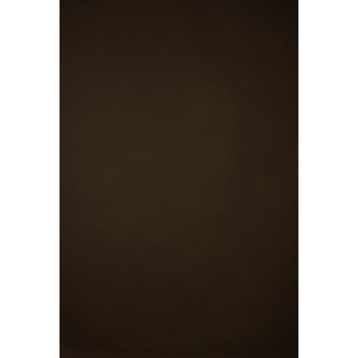 

Gravity Backdrops Hand Painted Classic Low Texture Backdrop, 8.9x19.7', Brown