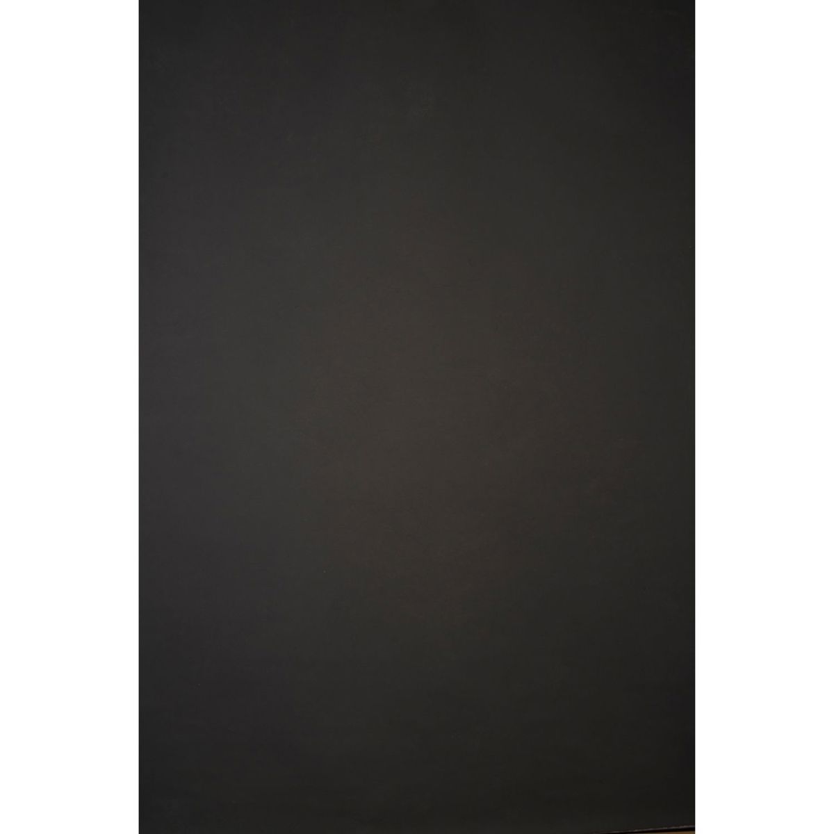 

Gravity Backdrops Hand Painted Classic Low Texture Backdrop, 8.9x19.7',Dark Gray