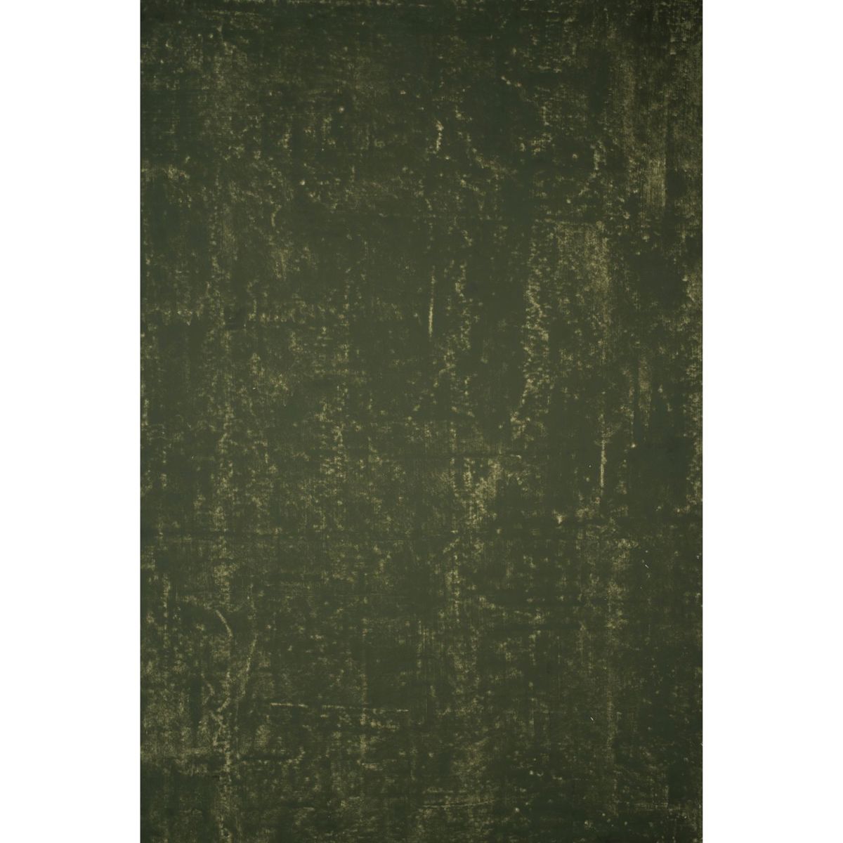 

Gravity Backdrops Hand Painted Classic Canvas Distressed Backdrop,5.2x8.9',Green