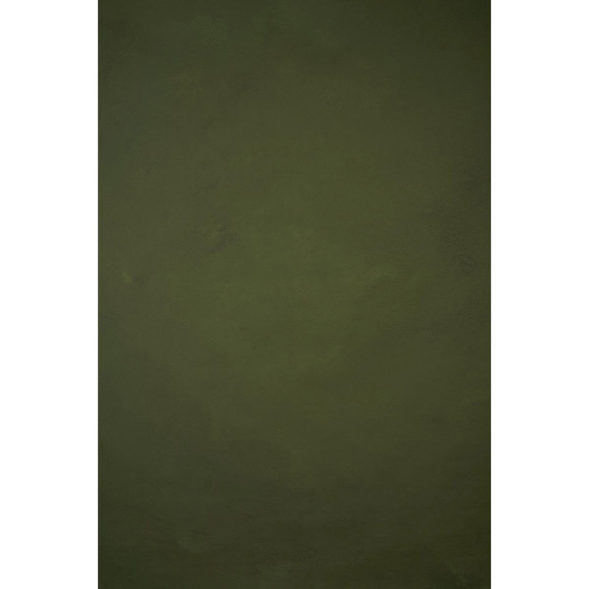 

Gravity Backdrops Hand Painted Classic Strong Texture Backdrop, 8.9x13', Green