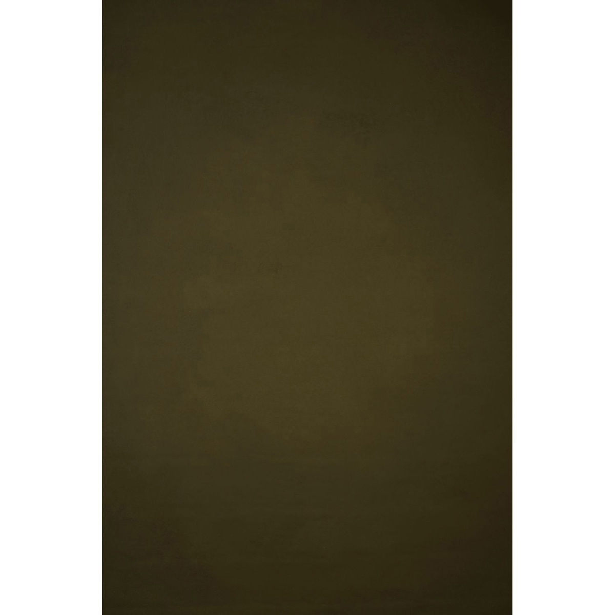

Gravity Backdrops Hand Painted Classic Low Texture Backdrop,6.9x8.9',Olive Green