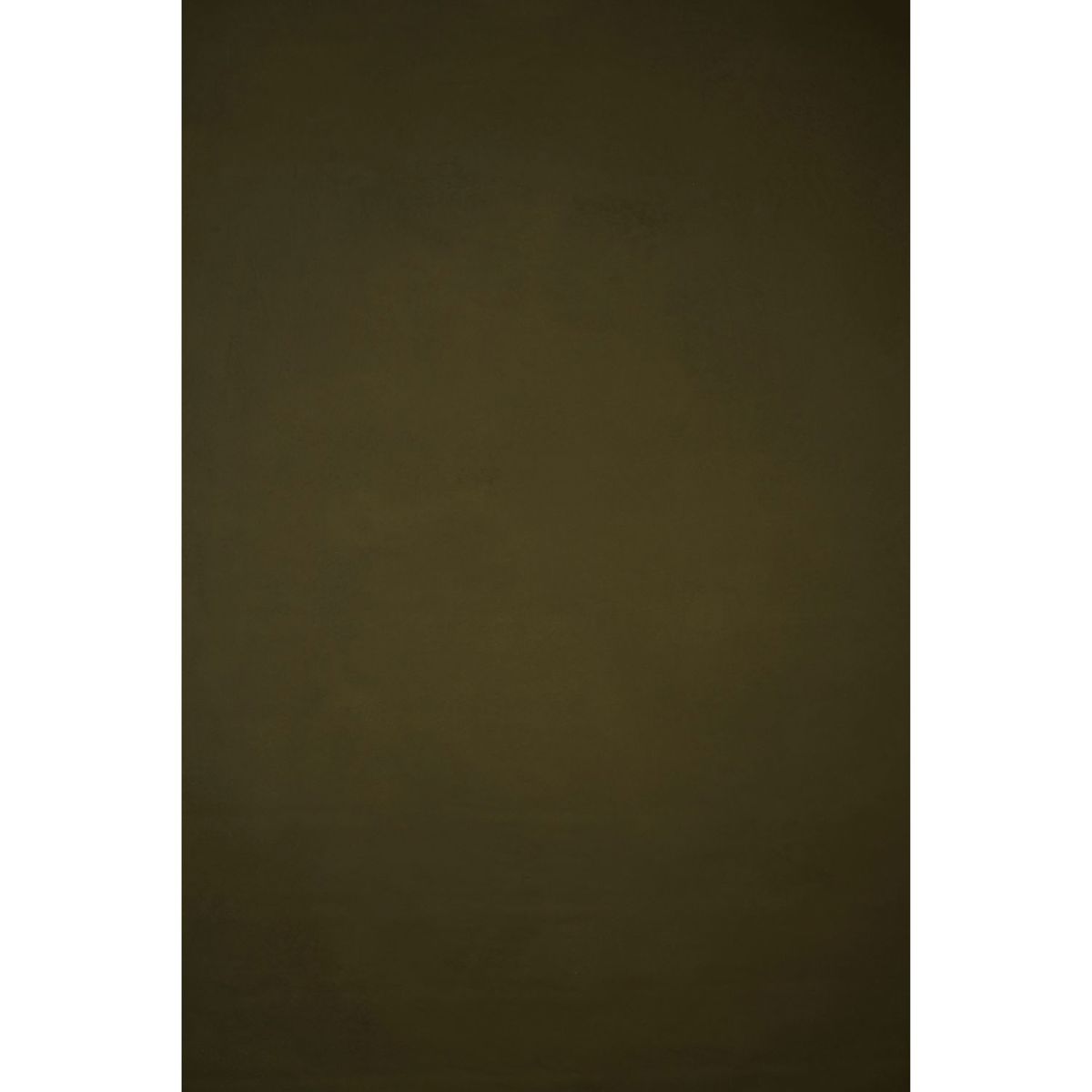 

Gravity Backdrops Hand Painted Classic Canvas Low Backdrop,8.9x16.4',Olive Green