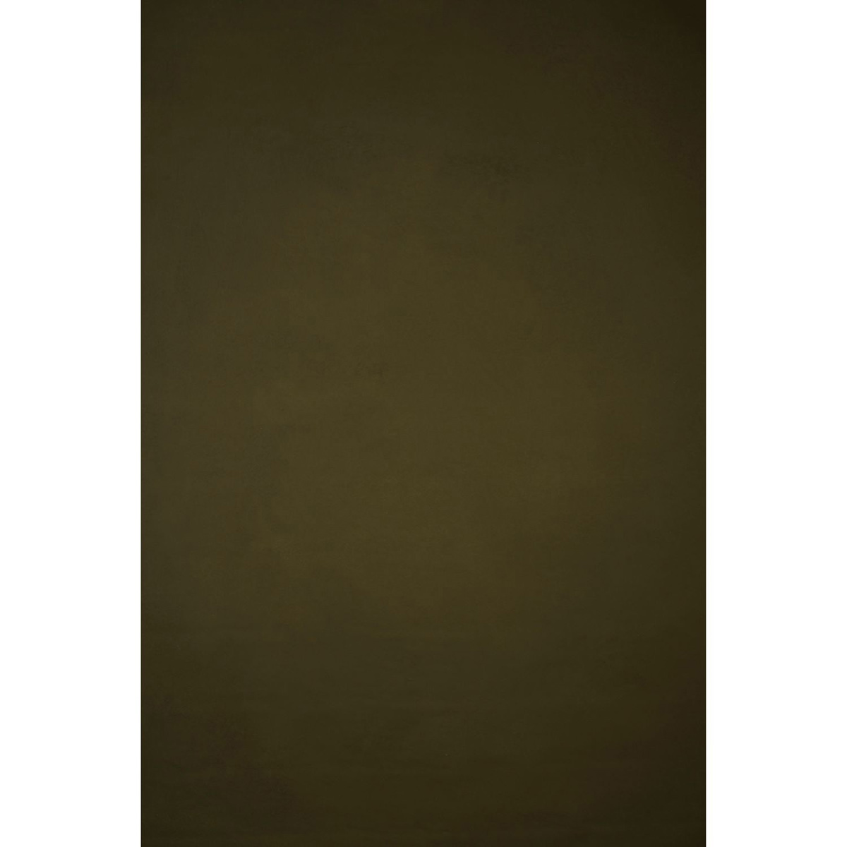 

Gravity Backdrops Hand Painted Classic Strong Backdrop, 8.9x9.8', Olive Green