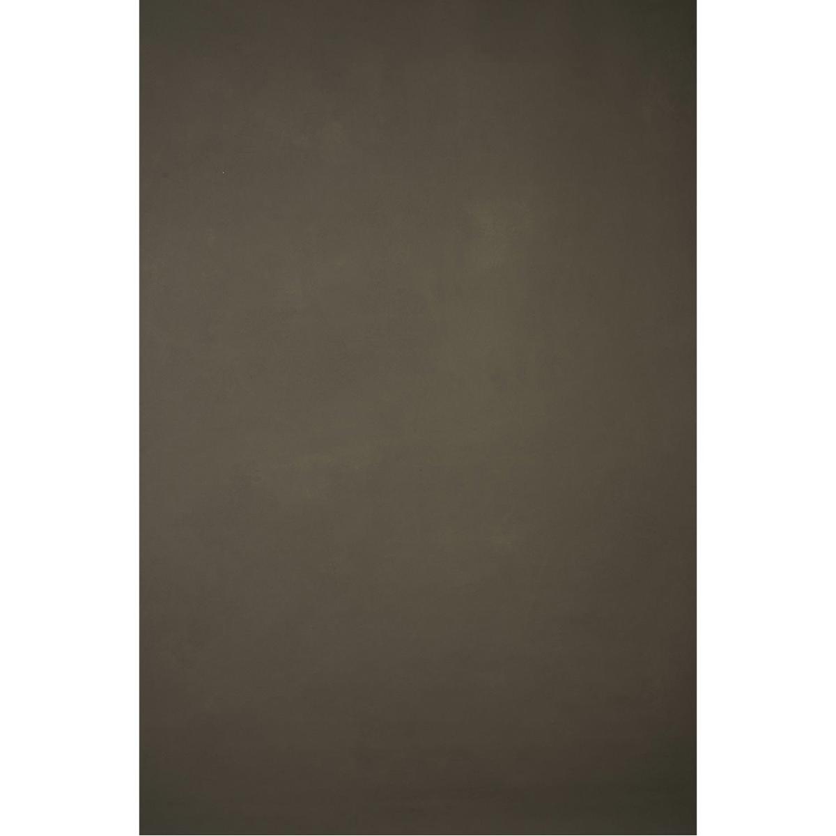 

Gravity Backdrops Hand Painted Classic Canvas Strong Backdrop,6.2x8.9',Warm Gray