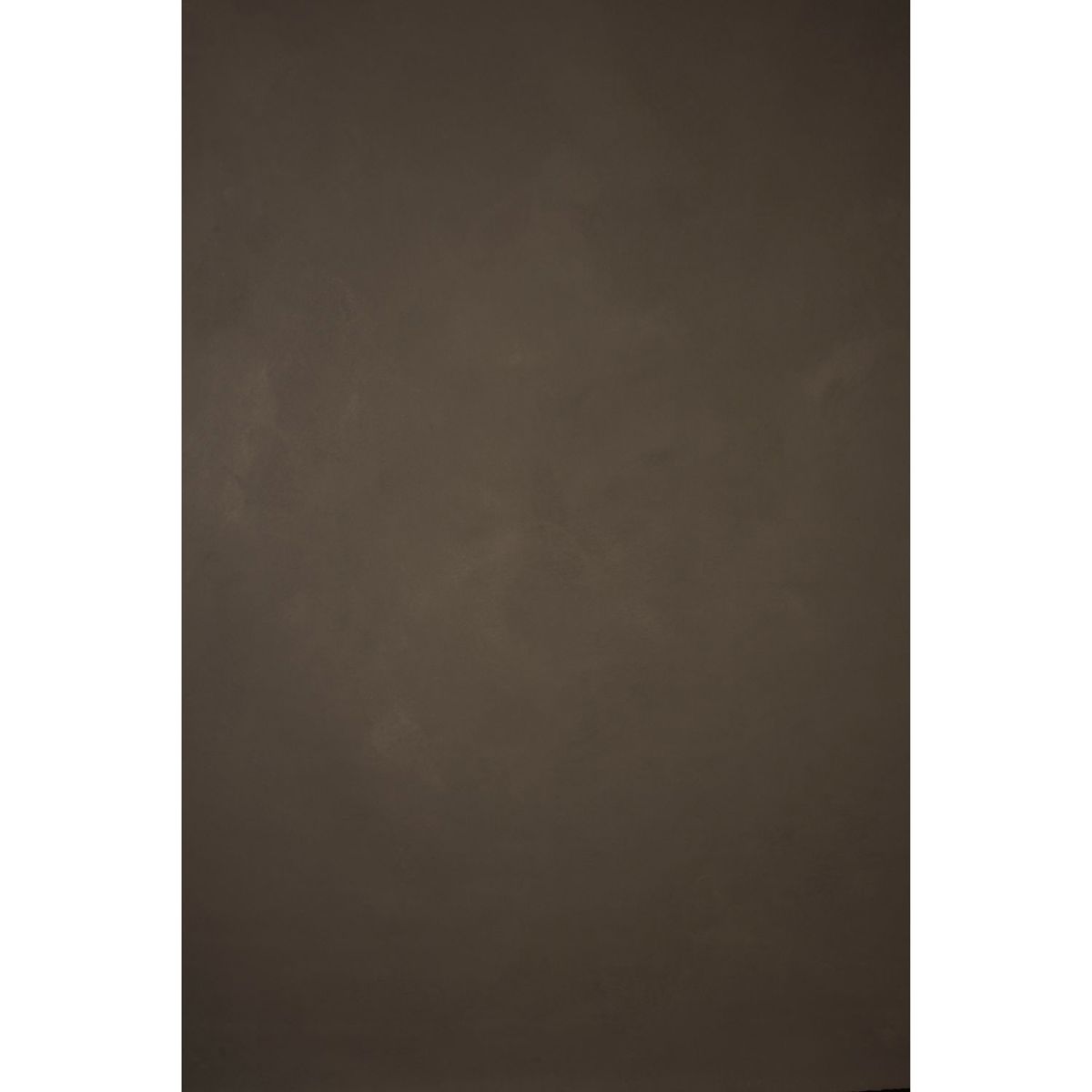 

Gravity Backdrops Hand Painted Classic Canvas Low Backdrop, 8.9x19.7', Warm Gray
