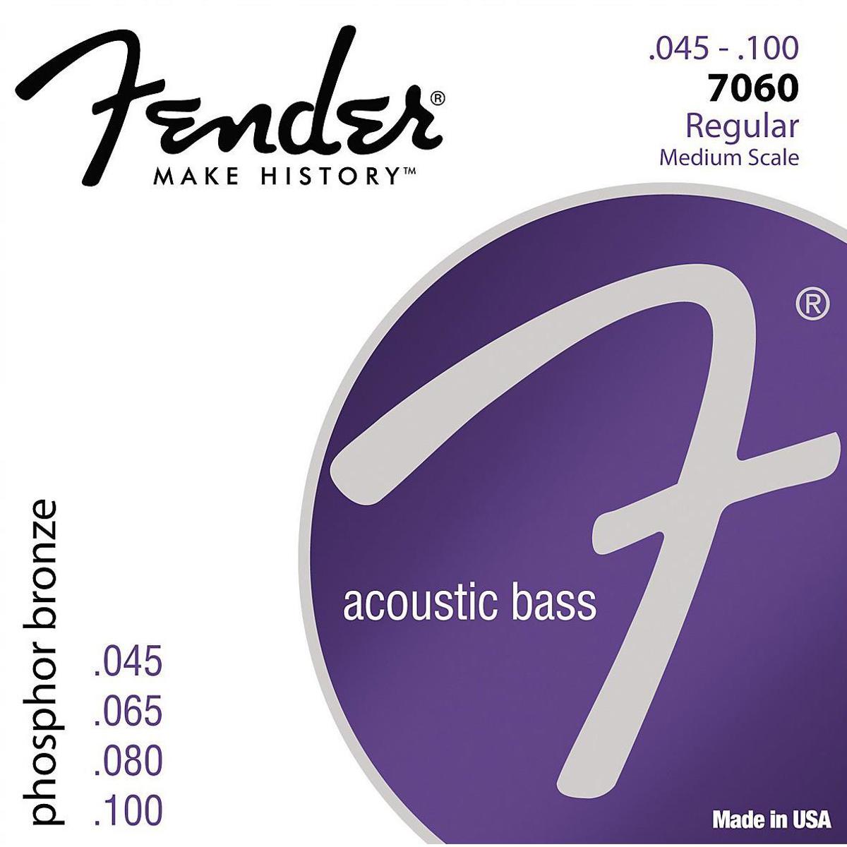 

Fender 7060 Regular Phosphor Bronze Acoustic Bass Strings, Set of 4 Strings