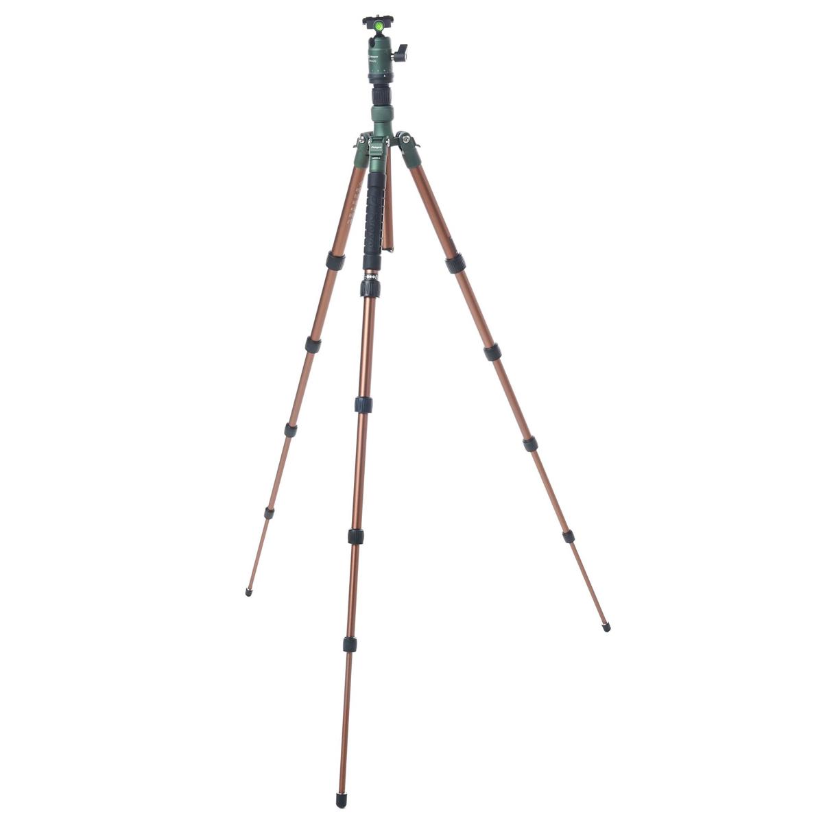 

FotoPro X-Go Gecko 5-Section Al Tripod with FPH-42Q Ball Head, Brown/Matte Green