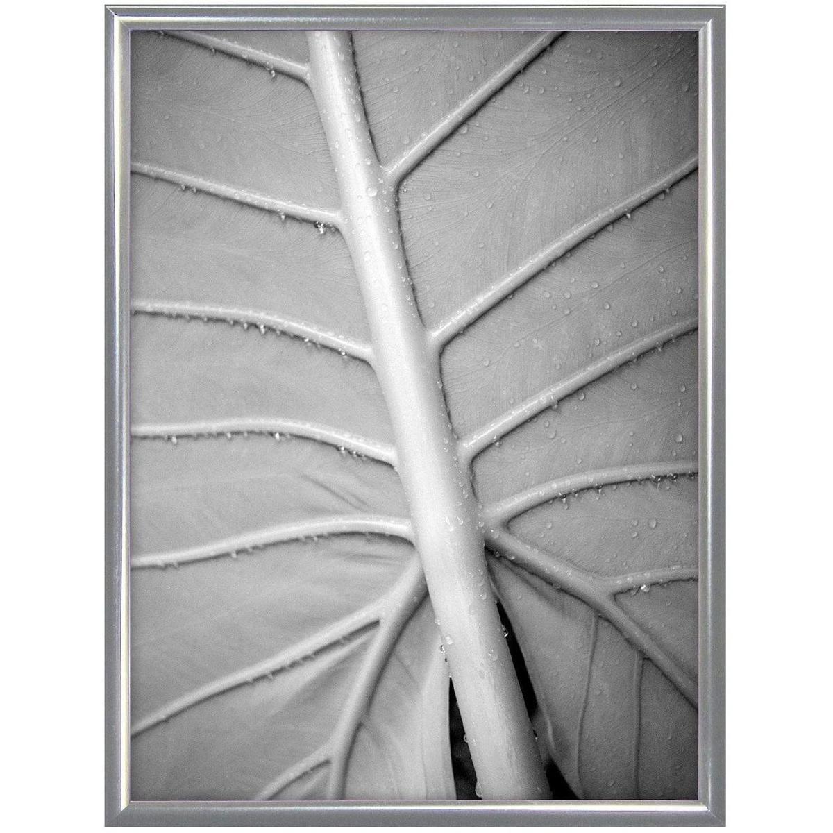 

MCS Classic Aluminum 18 x 24" Frame, Silver