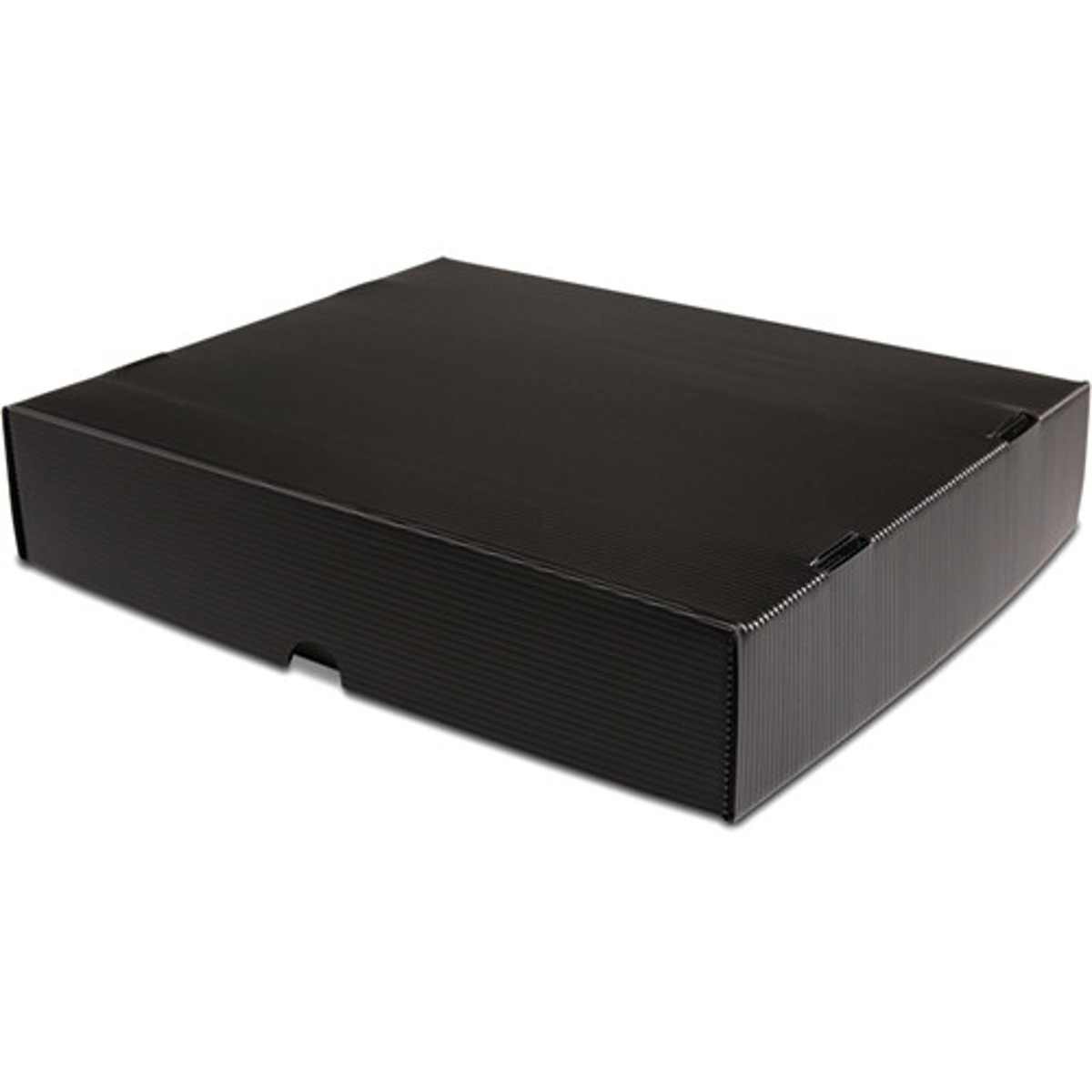 

Print File Two-Piece Micro-Perforated Print Box, 11.5x17.5x3"