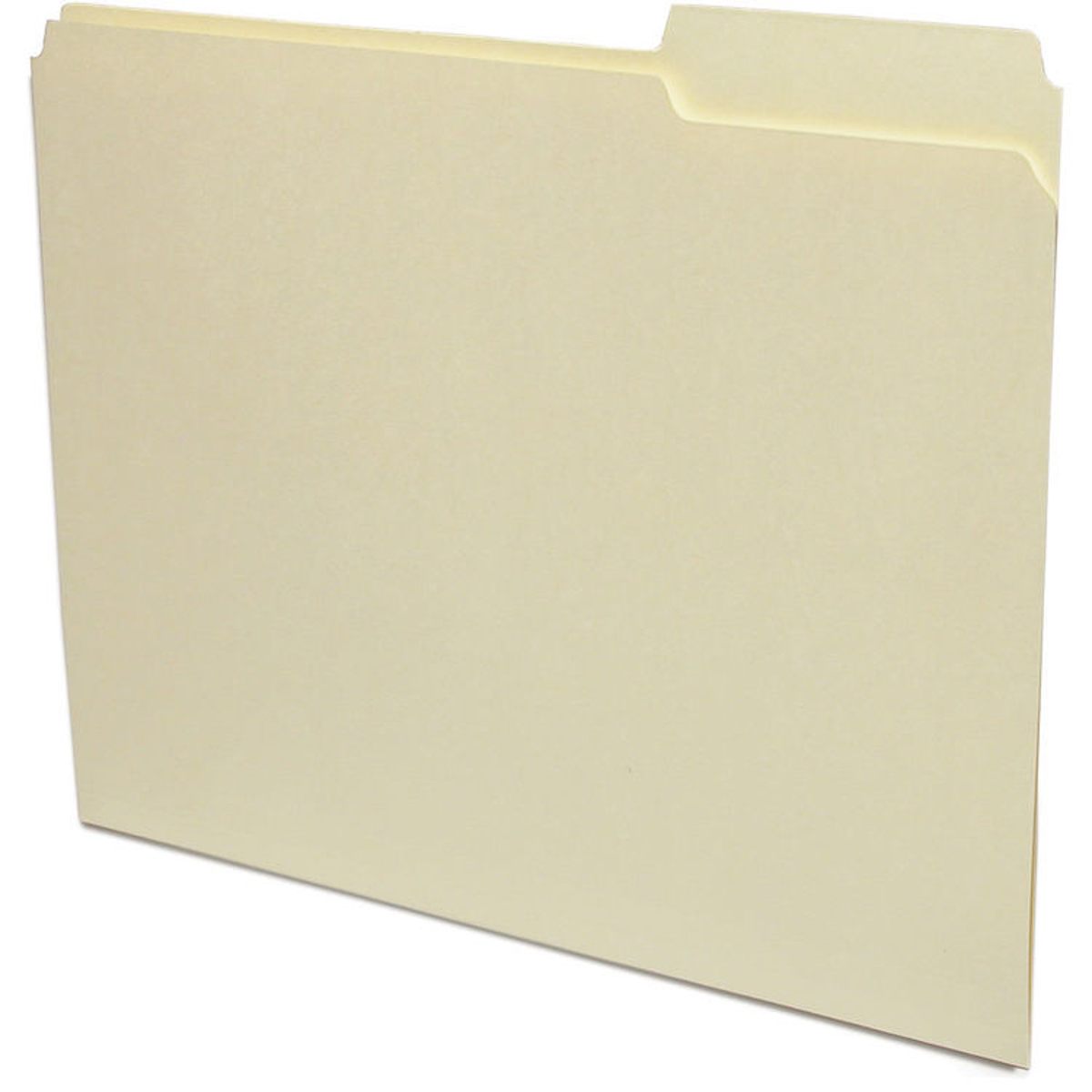 Image of Print File Letter Size Archival File Folders