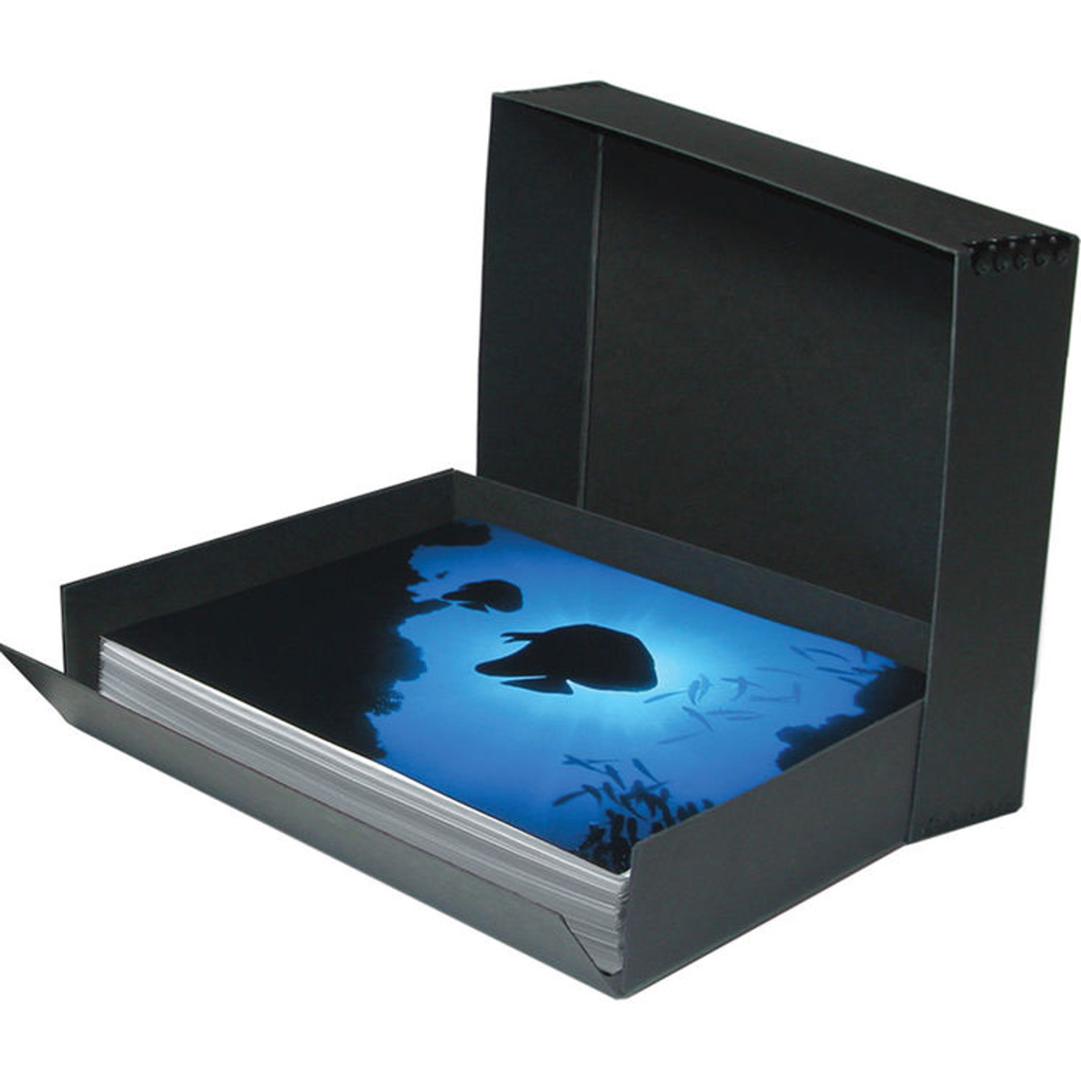

Print File Drop-Front Metal Edge Archival Storage Box, 17.5x22.5x3", Black